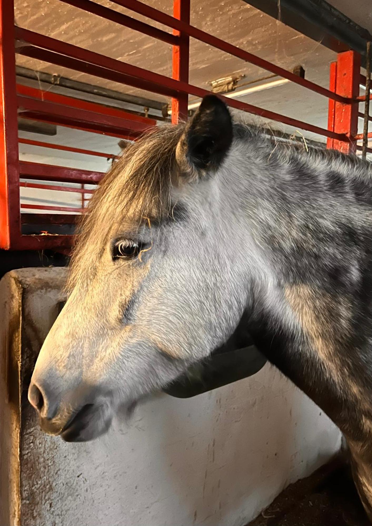 Løkken Farm Holiday Eksteriør bilde