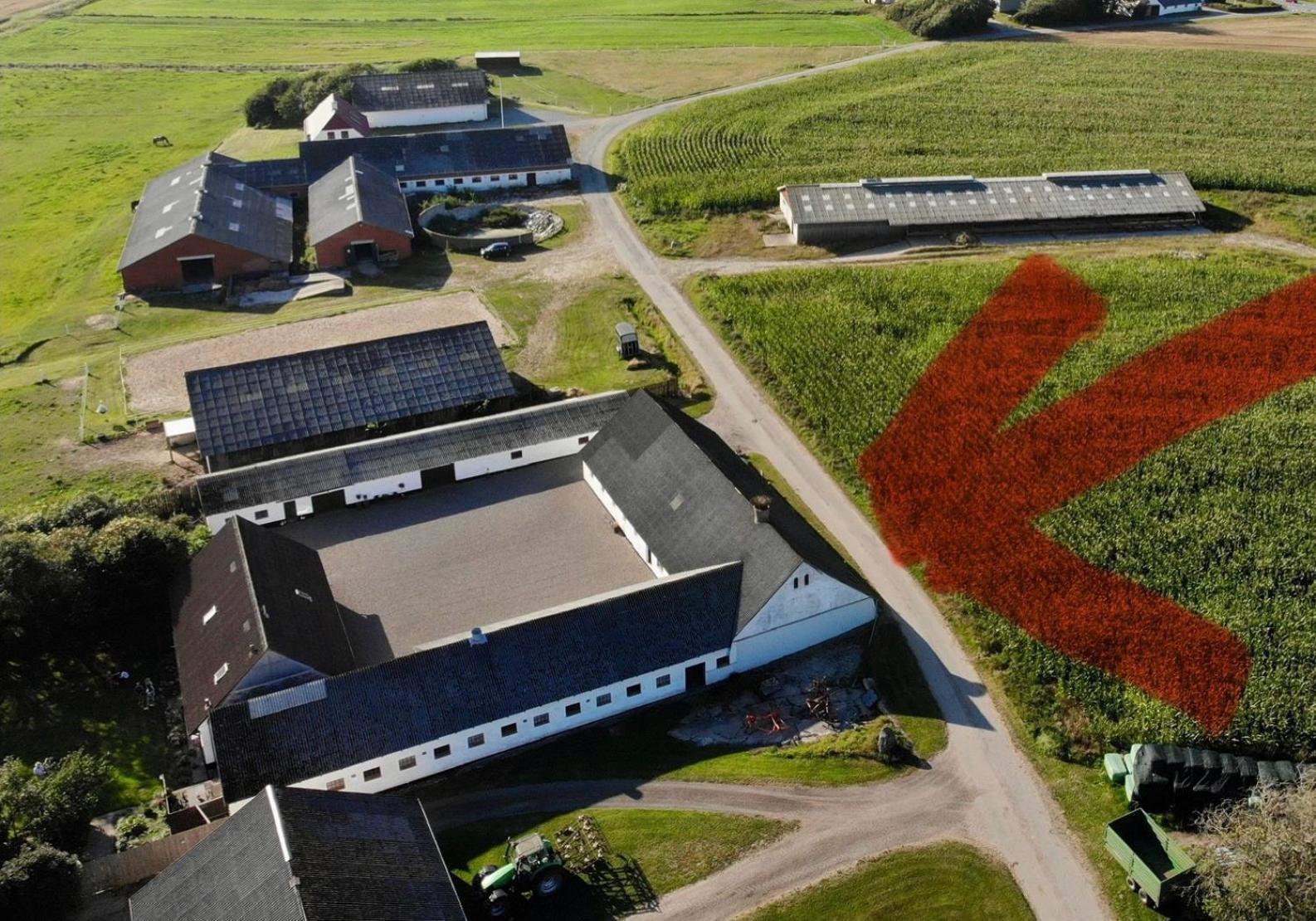 Løkken Farm Holiday Eksteriør bilde