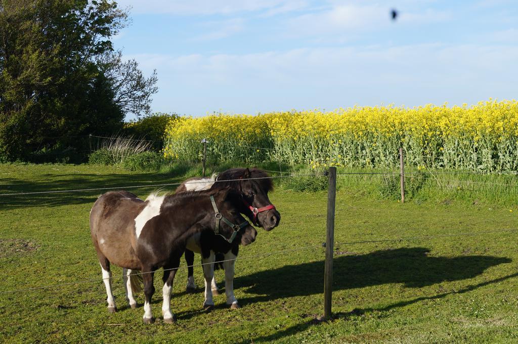 Løkken Farm Holiday Rom bilde